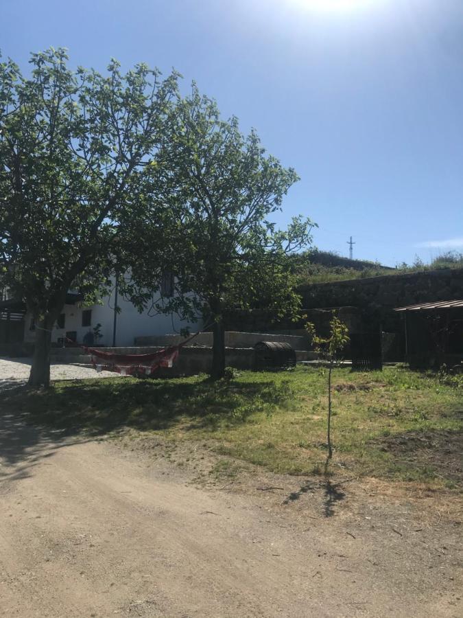 Vila Casa Nova Guimarães Exteriér fotografie