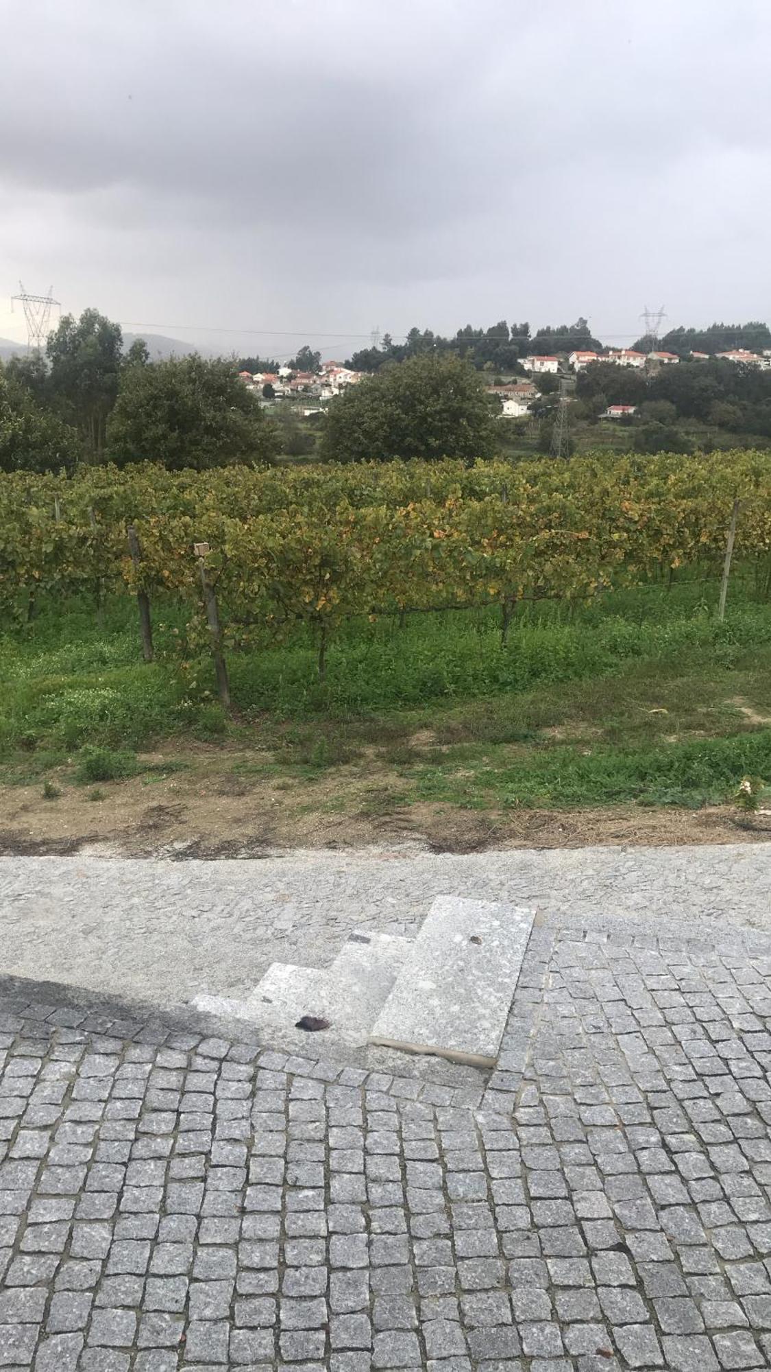 Vila Casa Nova Guimarães Exteriér fotografie